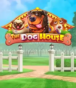 Pragmatic Play's The Dog House, bringing you a fun-filled experience into the world of playful pups. Discover features such as sticky wilds, designed for providing entertaining gameplay. A must-try for animal enthusiasts an amusing atmosphere and the opportunity to win big.